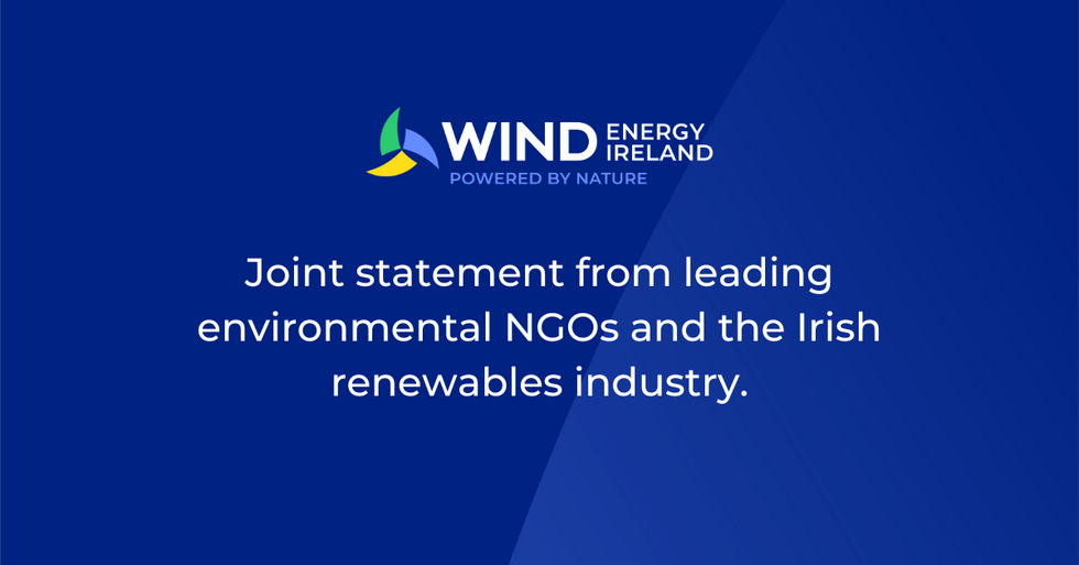 Joint statement from leading environmental NGOs and the Irish renewables industry