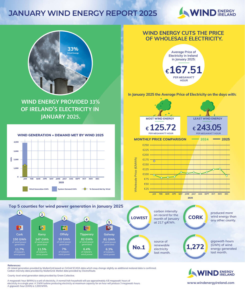 Wind Energy January 2025 Key Statistics