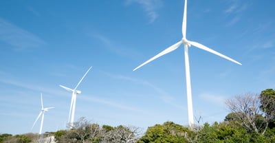 Niamh Burke Renewable Energy Bursary Offers €10,000 Boost to Students