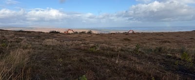 More Than a Wind Farm: Restoring Nature at Galway Wind Park